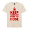 Softstyle™ adult ringspun t-shirt Thumbnail