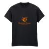 Heavy Cotton™ adult t-shirt Thumbnail